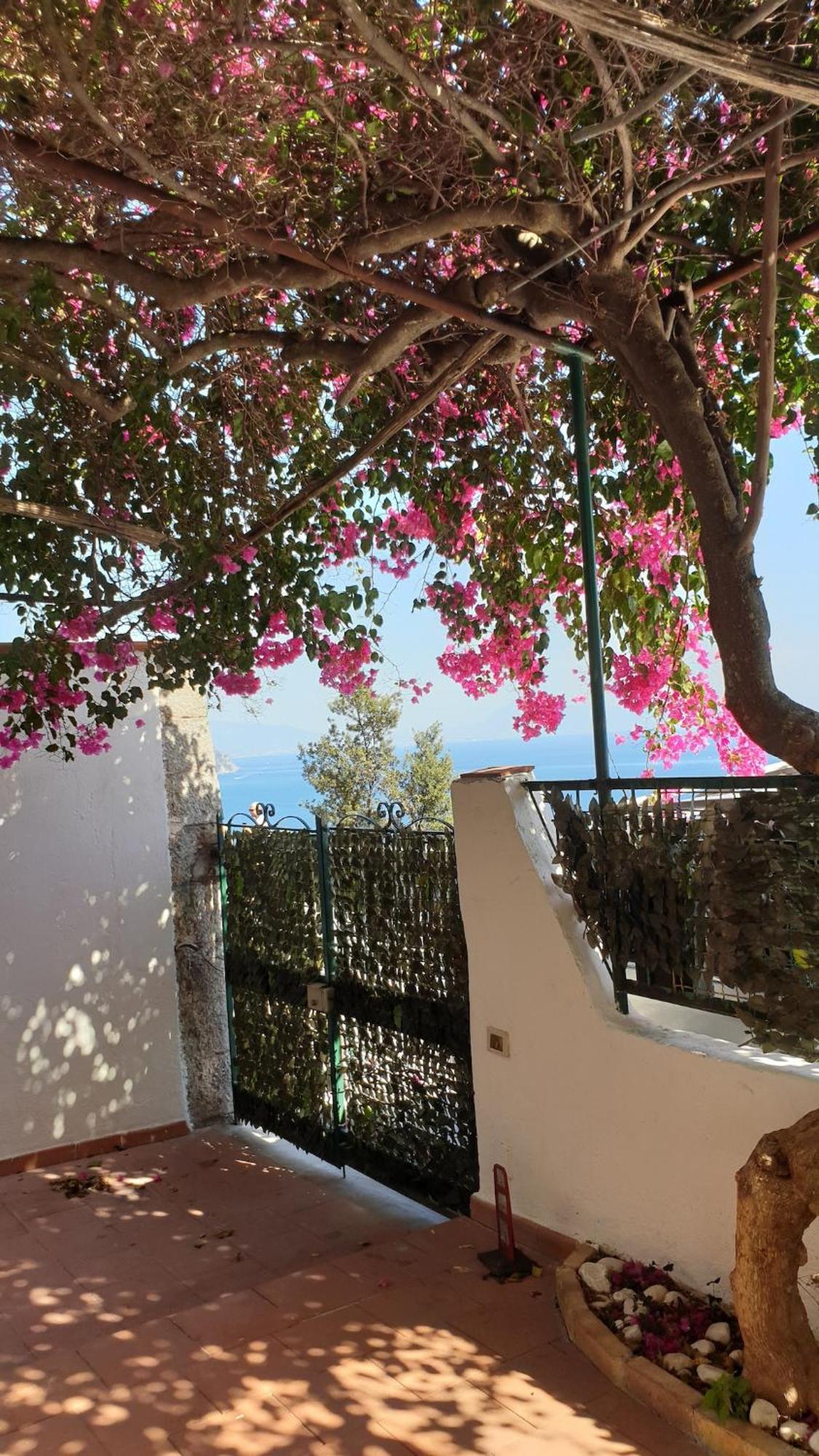 Villa Grace Amalfi Seaview Exterior photo